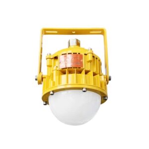 BPC (BPE) 8767 Explosion-Protected (Emergency) Led Pendant Light Fitting