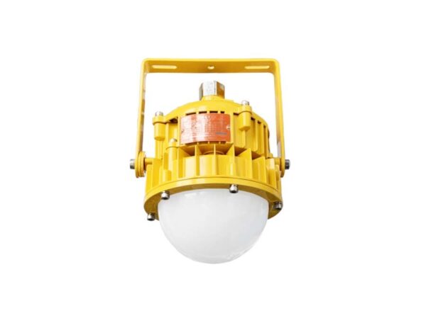 BPC (BPE) 8767 Explosion-Protected (Emergency) Led Pendant Light Fitting