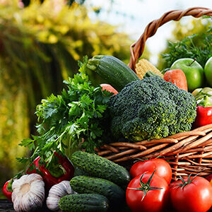 Vegan and Plant Based Products